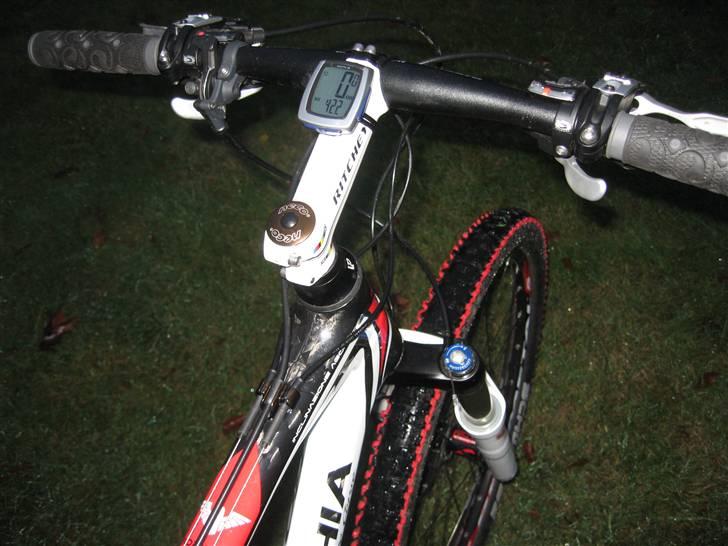 Bottecchia Pordoi FX593 billede 11