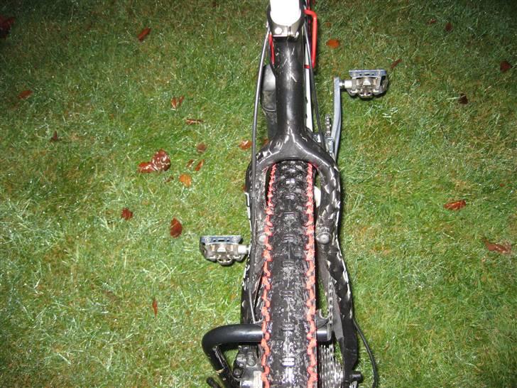 Bottecchia Pordoi FX593 billede 13