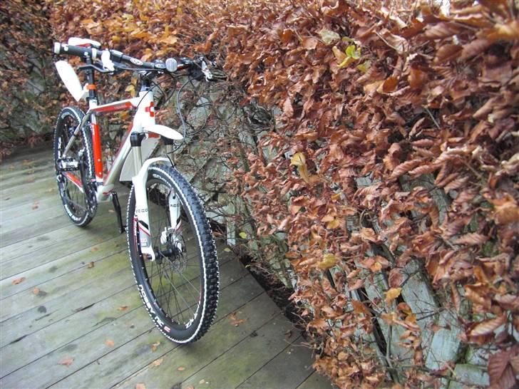 Cube             LTD Team 2010 billede 3