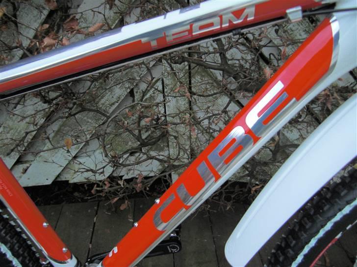 Cube             LTD Team 2010 billede 14