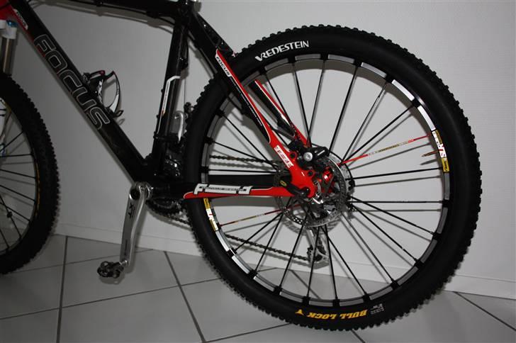 Focus Raven billede 2
