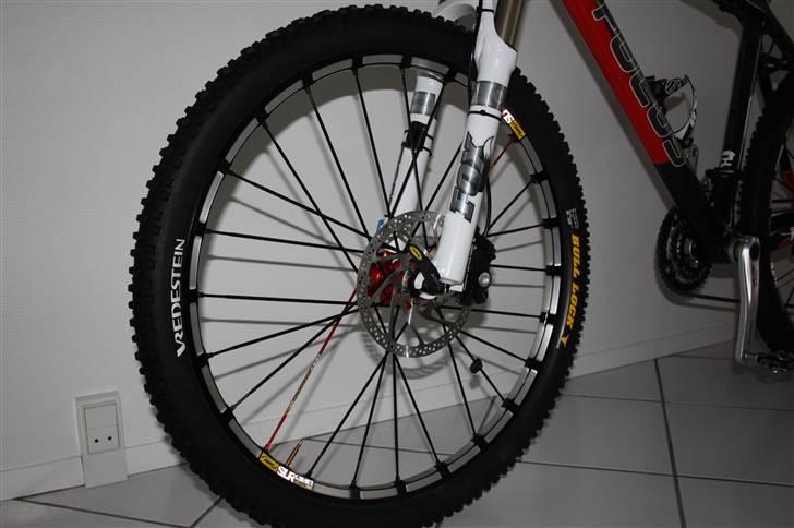 Focus Raven billede 3