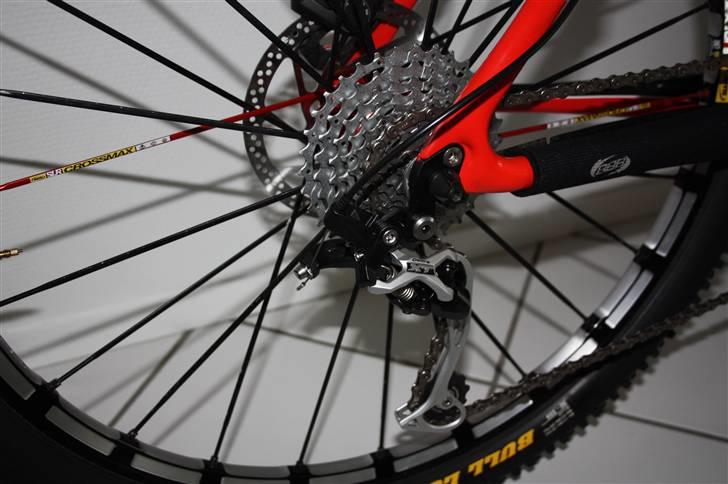 Focus Raven billede 7