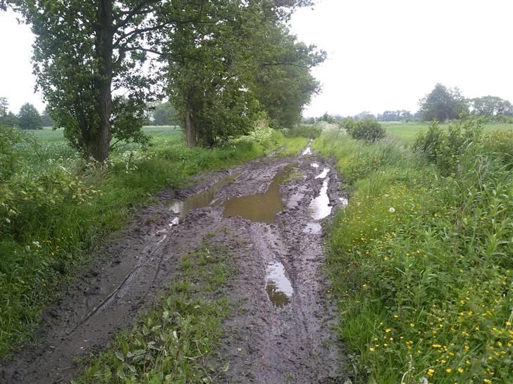 Universal Leitra Sport - Kan godt køre "offroad" når GPS sender en på afveje :-) billede 10