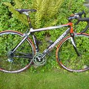 Wilier Izoard