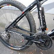 Cannondale 2009 Taurine 4