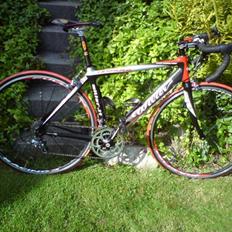 Wilier Izoard