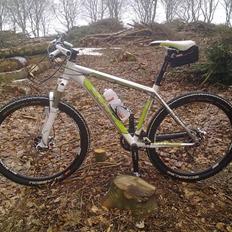 Cube LTD Race