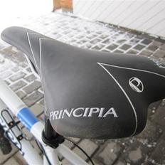 Principia MS