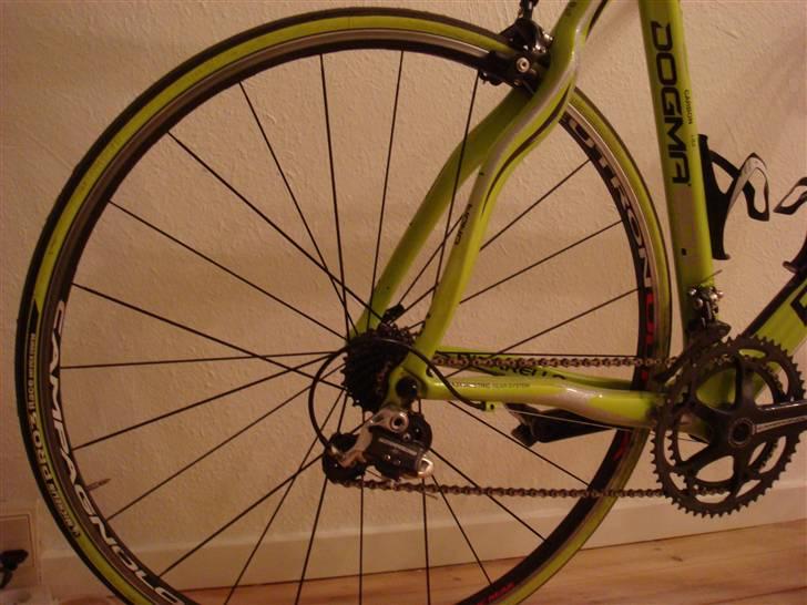 Pinarello Dogma 60.1 "SOLGT" - Campagnolo Neutron Ultra hjulsæt- billede 10