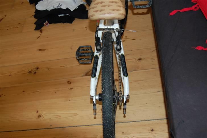 GT Expert 09 model billede 6