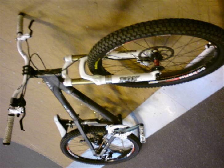 Vitus Taillefer (hjemme bryg) billede 3