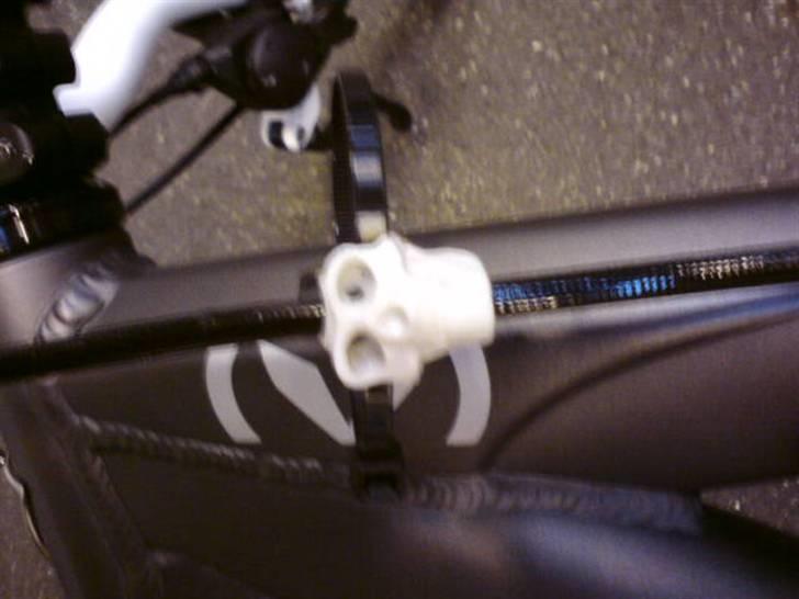 Vitus Taillefer (hjemme bryg) billede 4