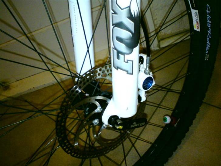 Vitus Taillefer (hjemme bryg) billede 5
