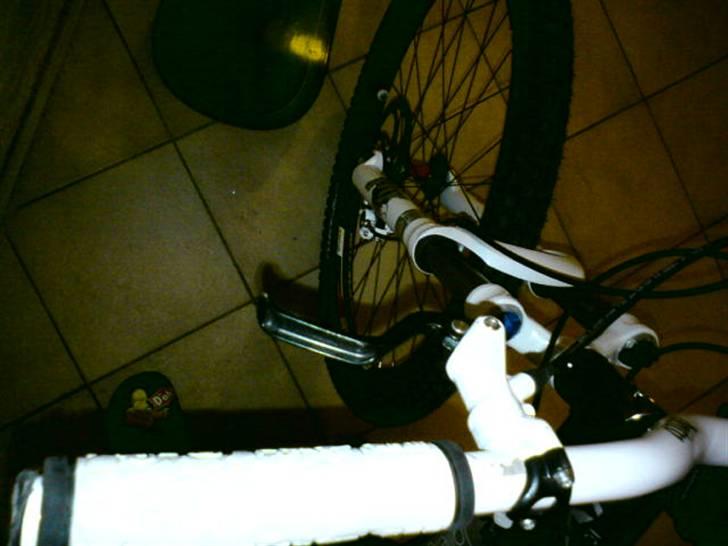 Vitus Taillefer (hjemme bryg) billede 7