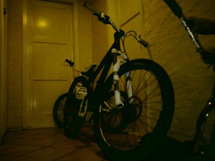 Vitus Taillefer (hjemme bryg) billede 8