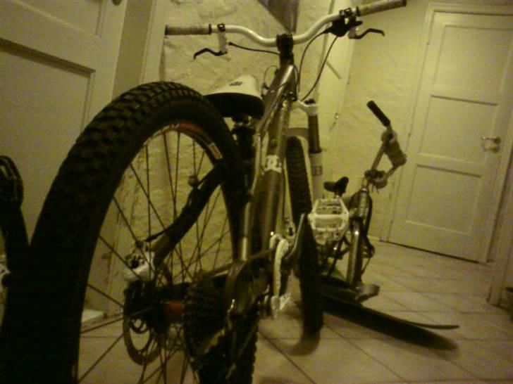 Vitus Taillefer (hjemme bryg) billede 10