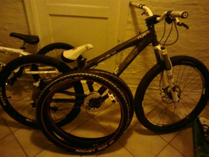Vitus Taillefer (hjemme bryg) billede 11