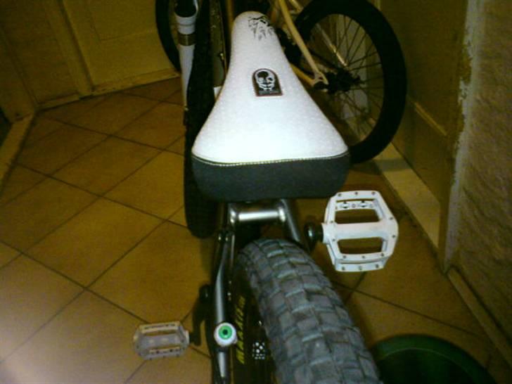 Vitus Taillefer (hjemme bryg) billede 14