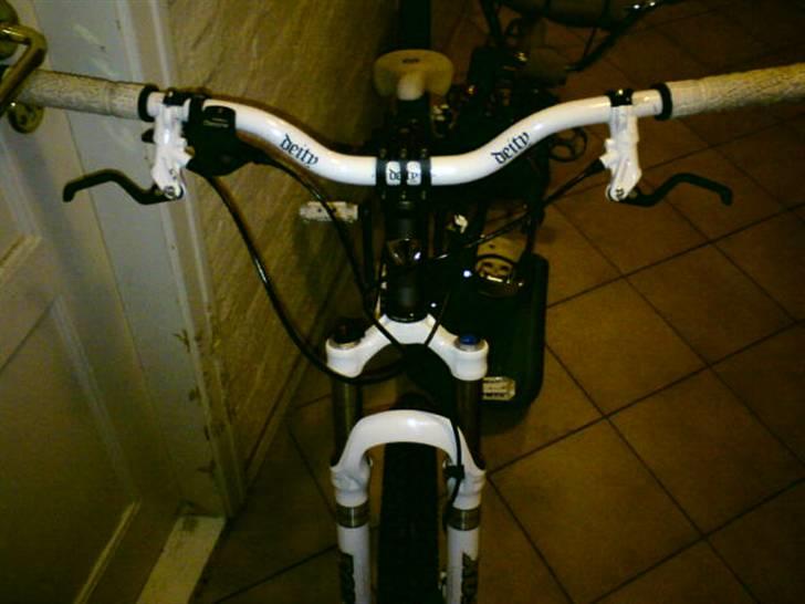 Vitus Taillefer (hjemme bryg) billede 15