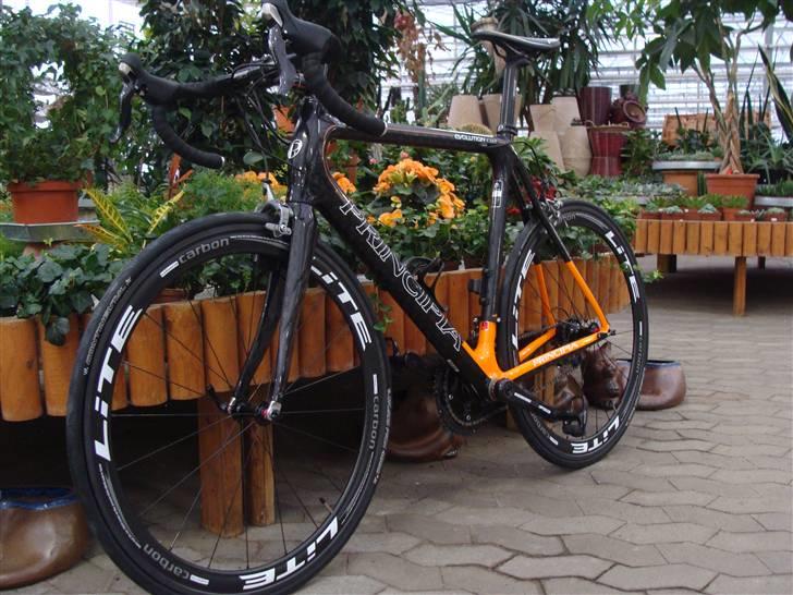 Principia Evolution C16T - SOLGT billede 16