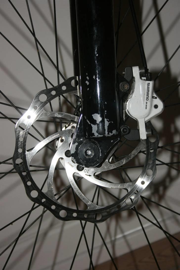 Banshee Chaparral billede 13