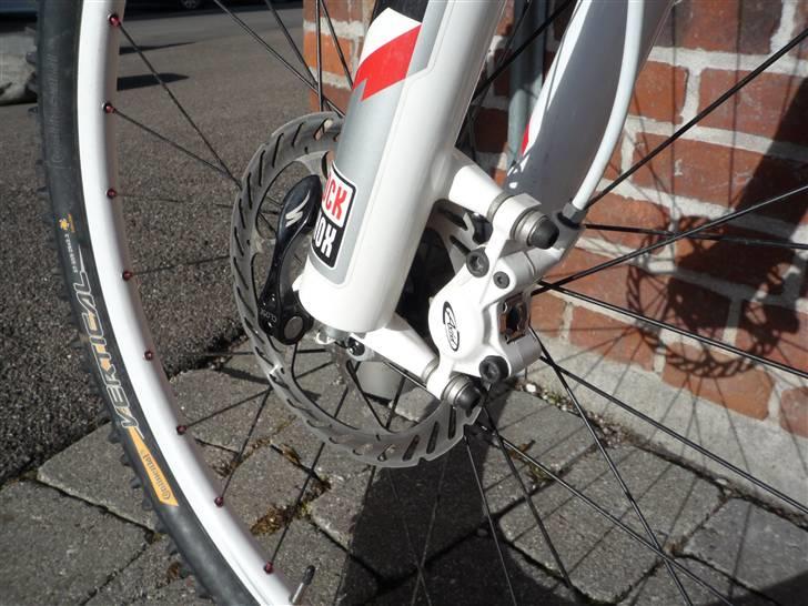 Specialized Rockhopper SL Comp. billede 6