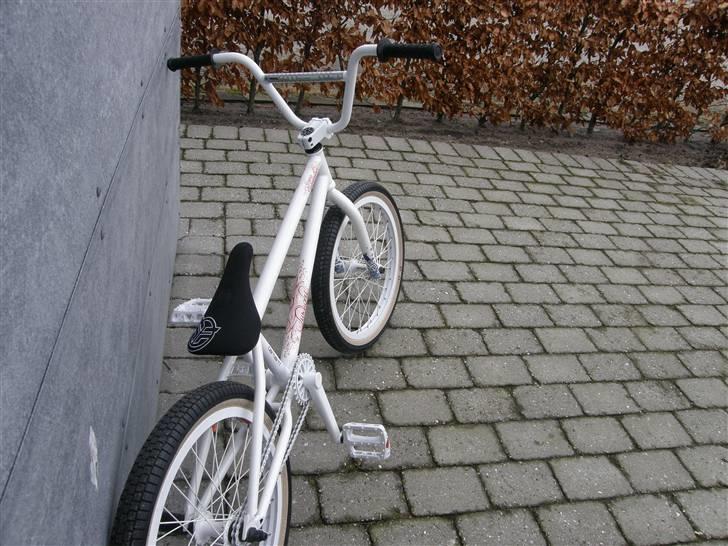 Federal Twilight billede 4