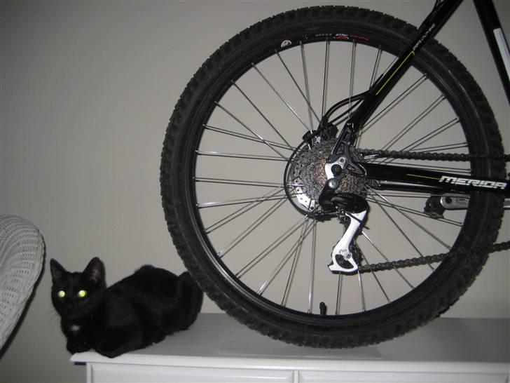 Merida Matts 40 Disc billede 14