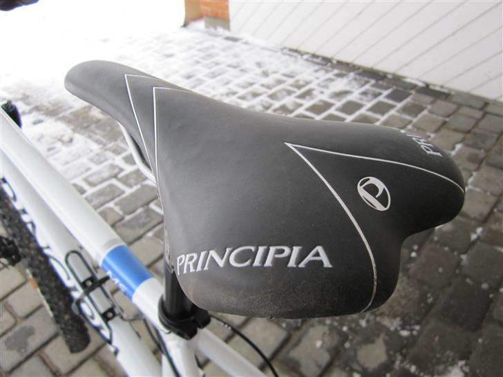 Principia MS billede 2