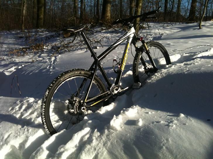 Scott Scale 50 billede 2