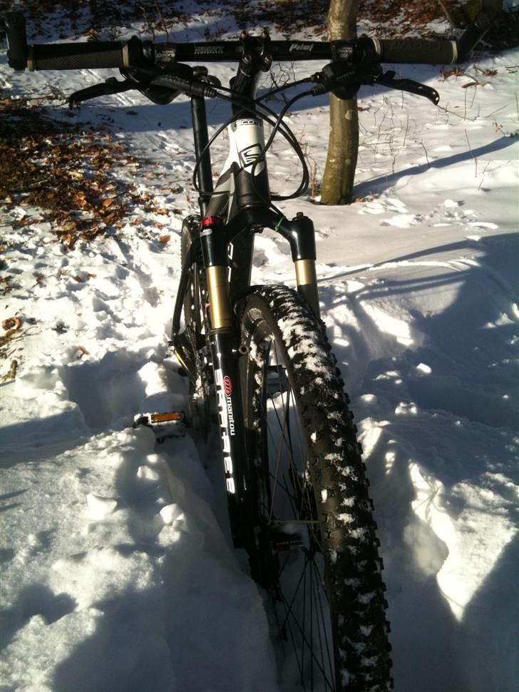 Scott Scale 50 billede 5