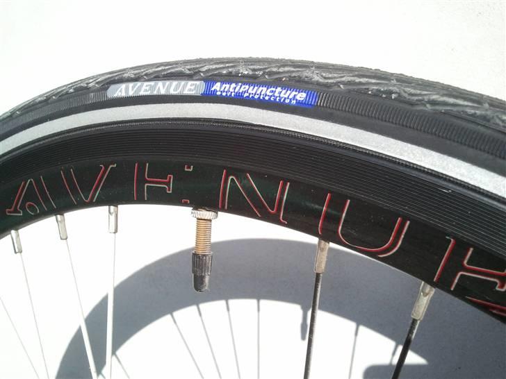 Avenue Airbase XM 2010 billede 18