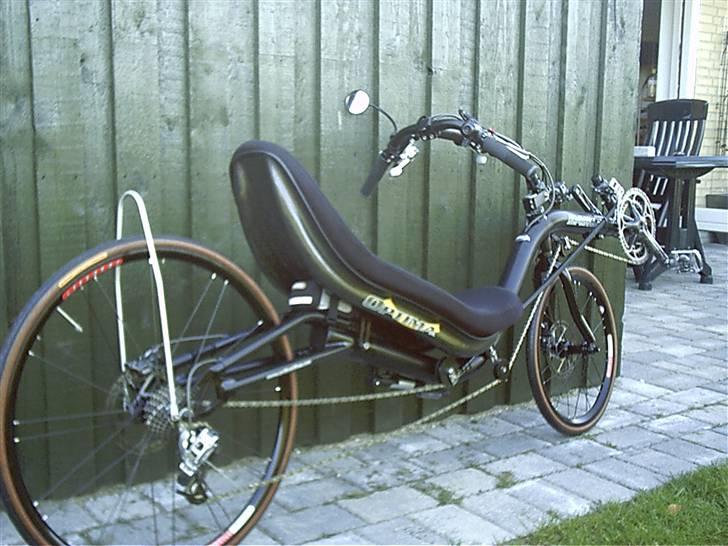 Optima  Baron billede 5