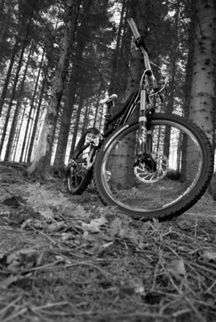 Specialized sx trail 2 2010 billede 18