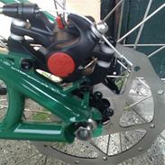 Kona shonky 2010 (long)