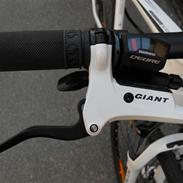 Giant Roam XR 2