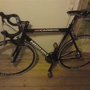 Nishiki Team Carbon