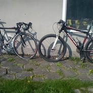 Nishiki Team Carbon