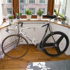 Concorde Squadra