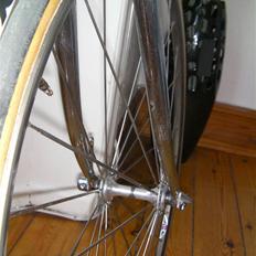 Concorde Squadra