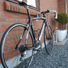 Bianchi Via Nirone 7 Alu Hydro
