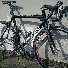 Nishiki Team Carbon