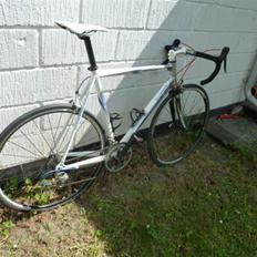 Ridley Pegasus *SOLGT'