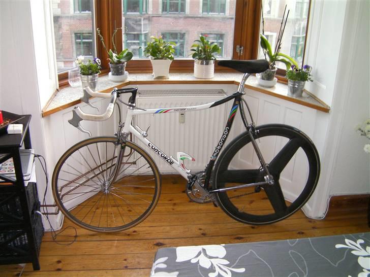 Concorde Squadra - Selve cyklen billede 1
