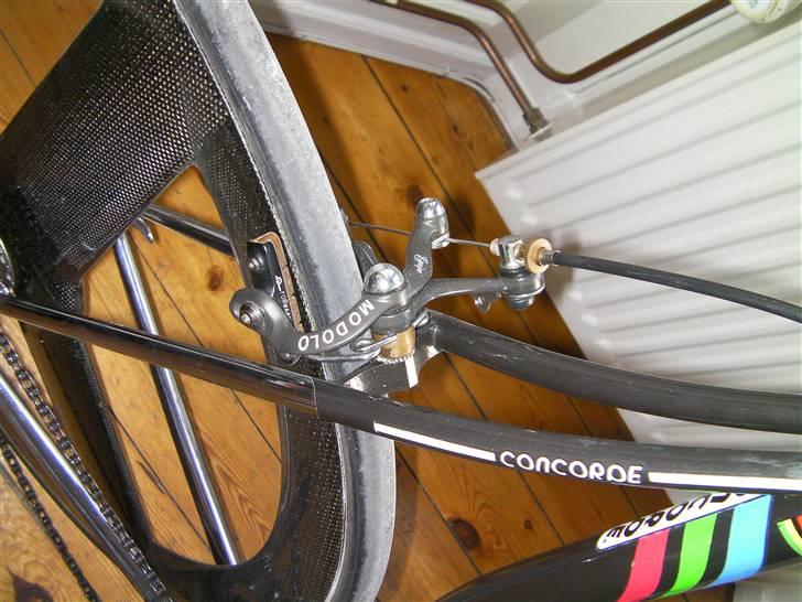 Concorde Squadra - Bagbremse med korkklodser billede 7