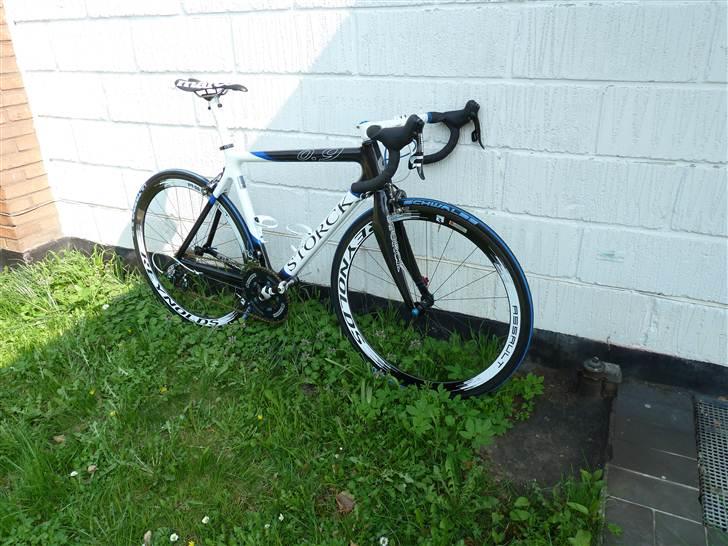 Storck Absolutist 0.9 *DØD* billede 9