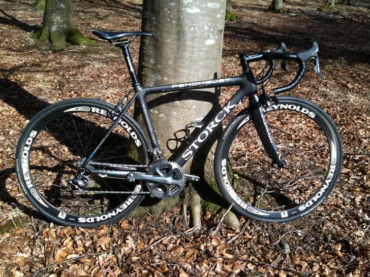 Storck Fenomalist billede 1