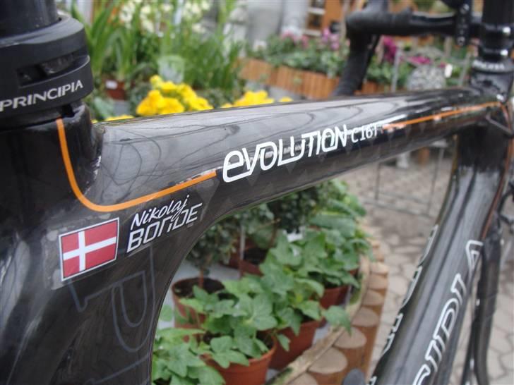 Principia Evolution C16T - SOLGT billede 19