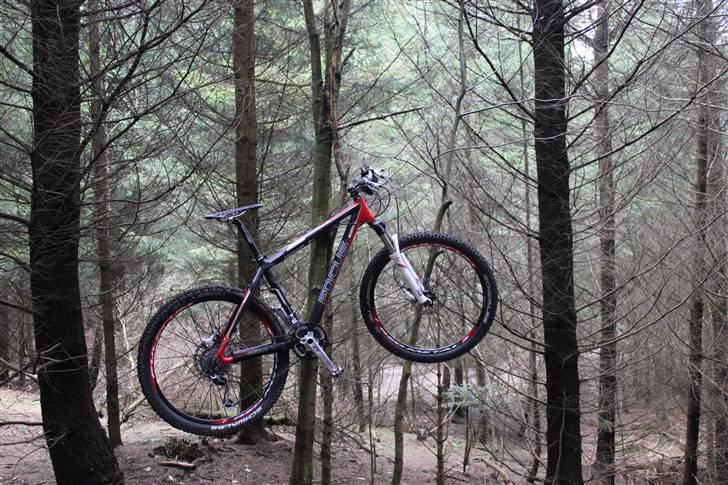 Focus Raven Expert billede 6